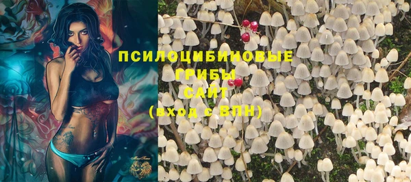амф Заводоуковск