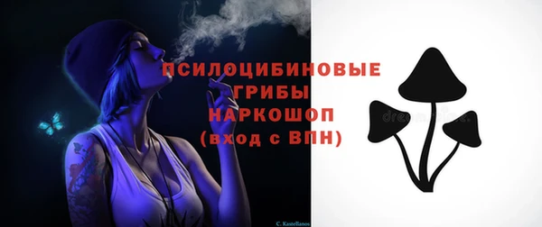 хмурый Касимов