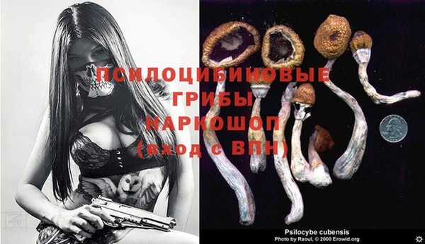 бошки Заволжск