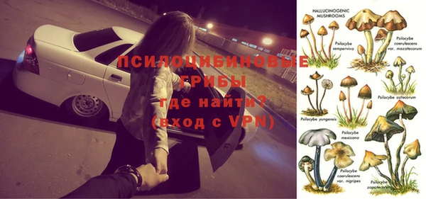 бошки Заволжск