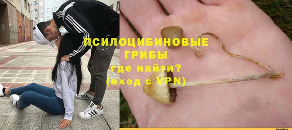 бошки Заволжск